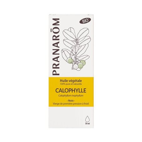 Callophyllumolie - Callophyllum inophyllum - BIO - 50 ml - Pranarom 